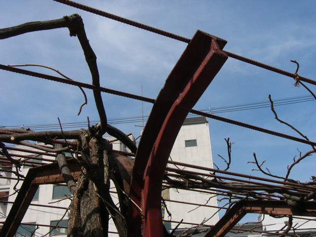 支柱に使われている昔のレール